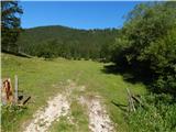 Kranjski Rak  - Kapela Marije Snežne (Velika planina)